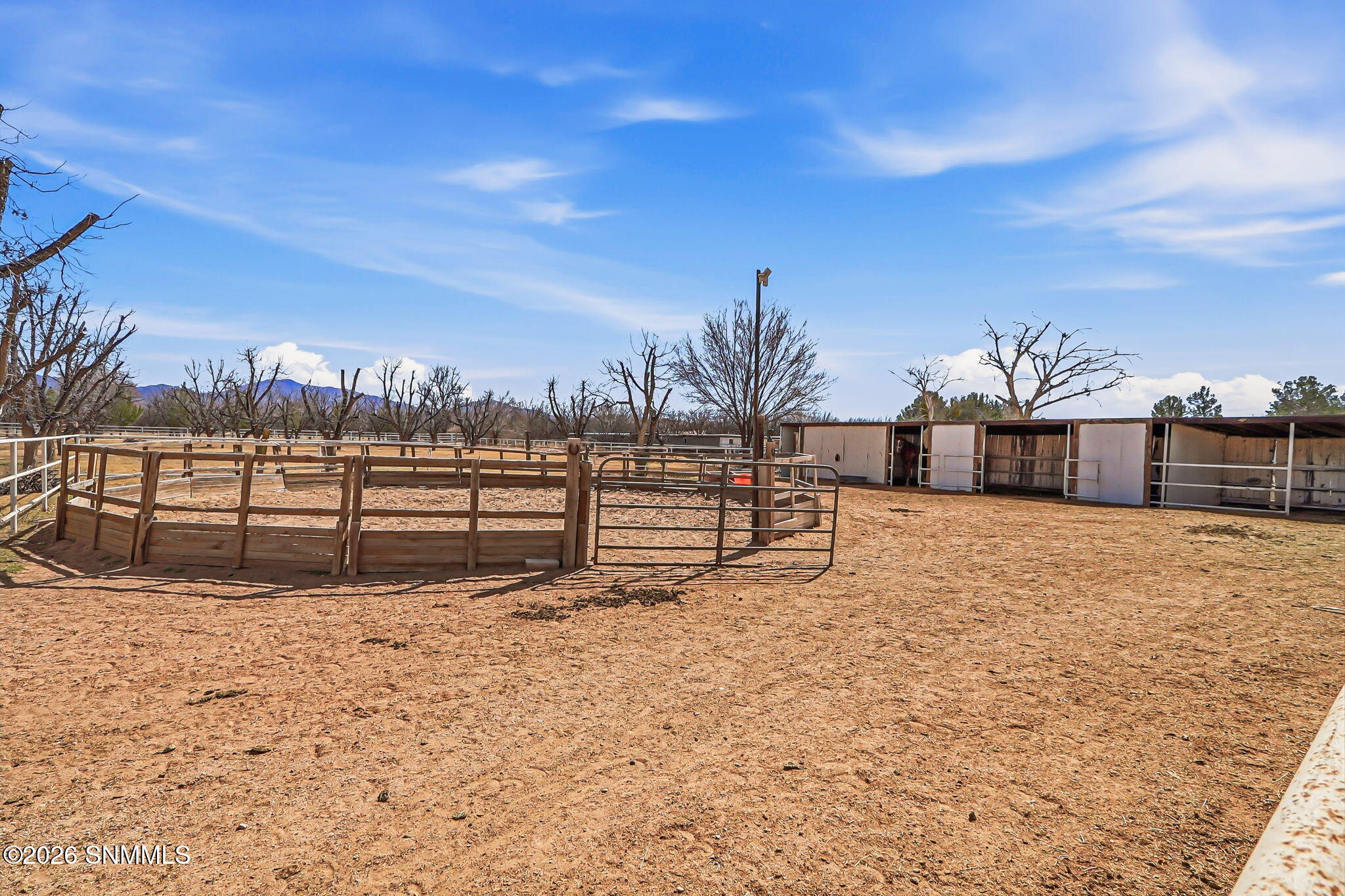 79-web-or-mls-IMG_9741