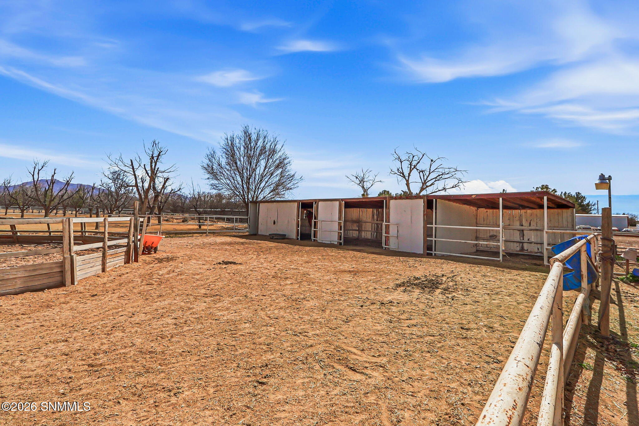 80-web-or-mls-IMG_9747