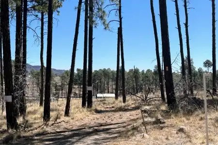 31 Bahamas Drive, Cloudcroft, New Mexico 88317, ,Land,For Sale,Bahamas,2600707