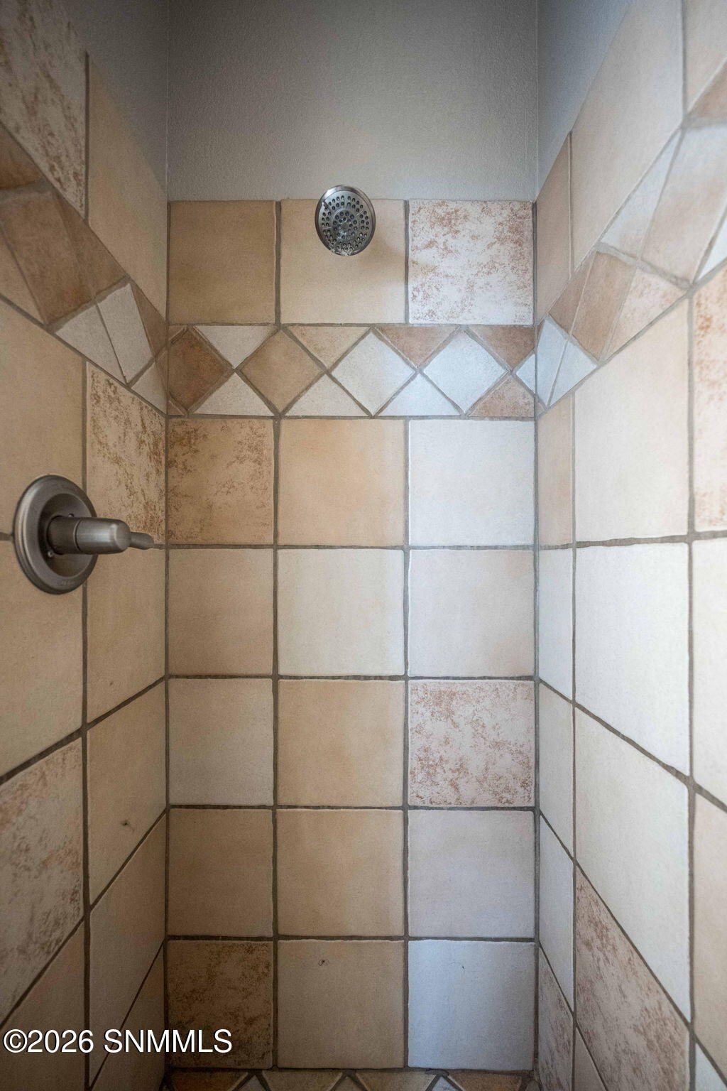 29-web-or-mls-Snappin Homes (Corn2026)-2