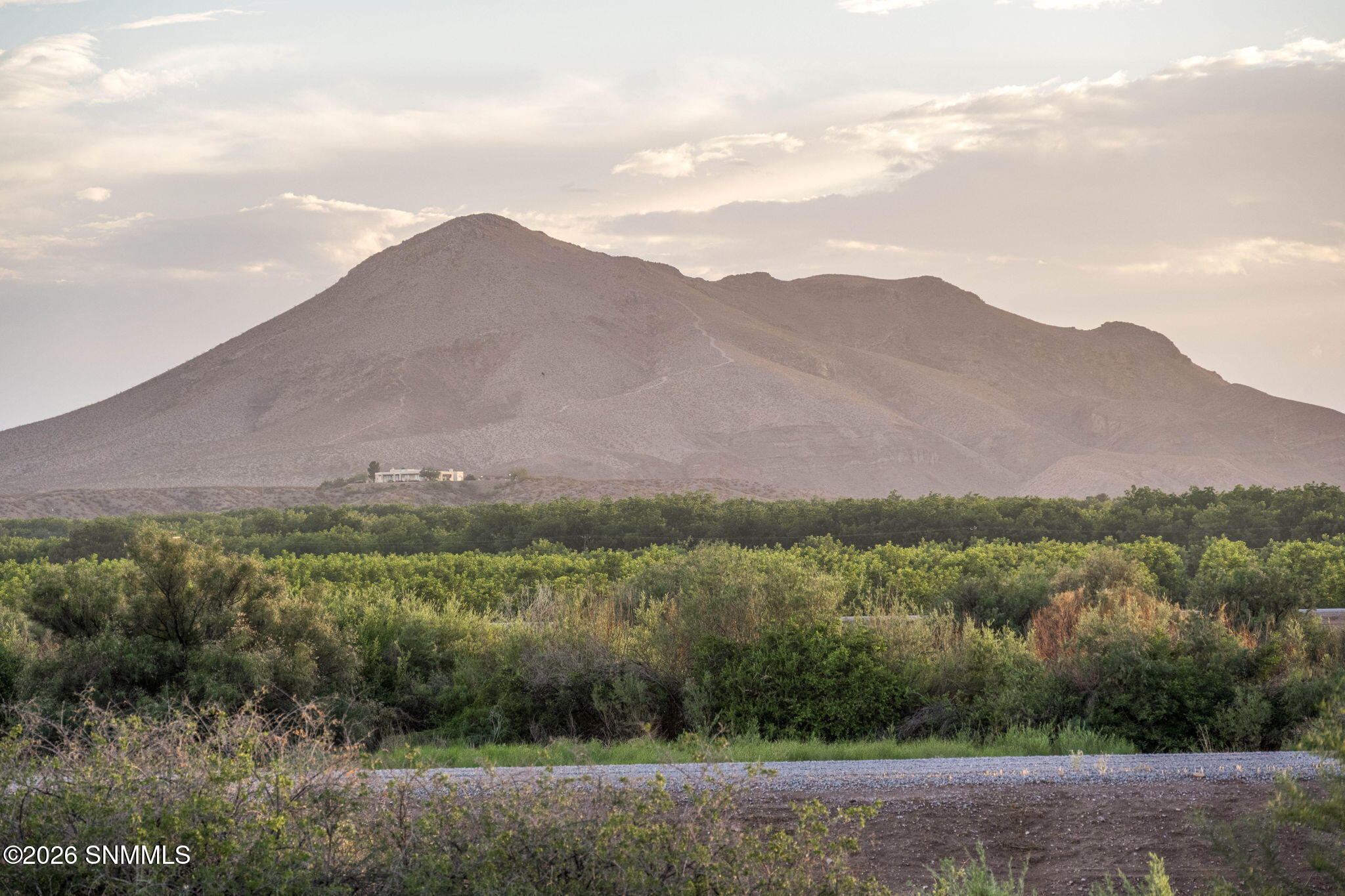 44-web-or-mls-Snappin Homes (Wildwind299