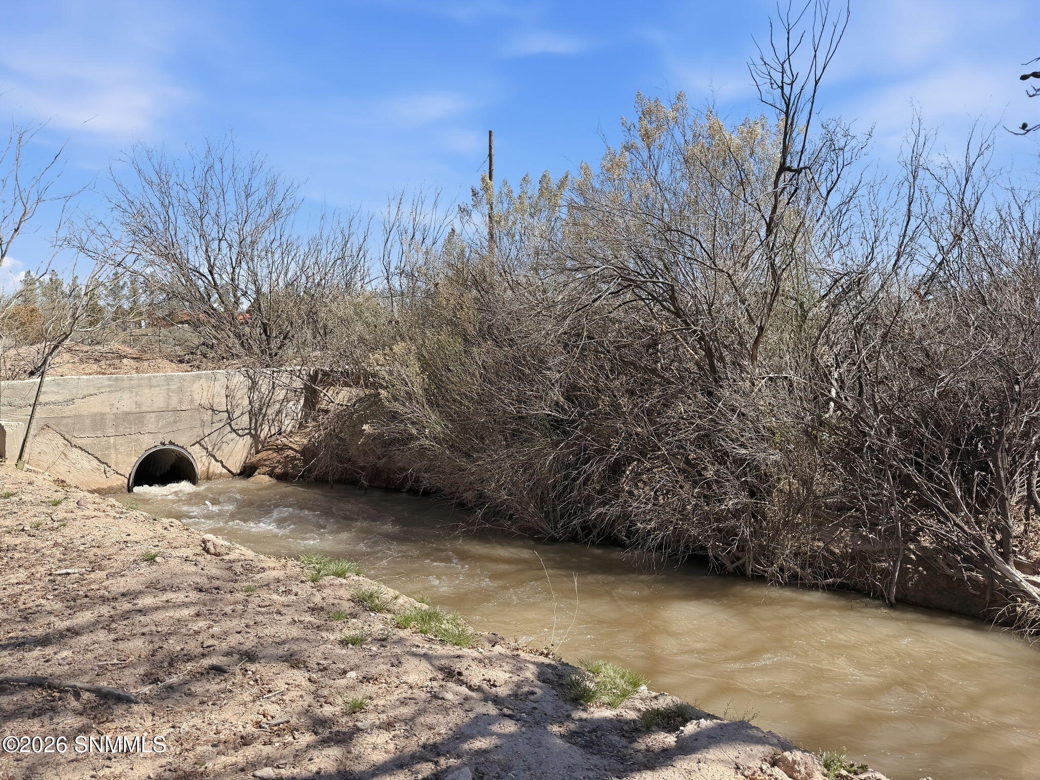 66-web-or-mls-Photo Mar 02 2026, 1 06 45