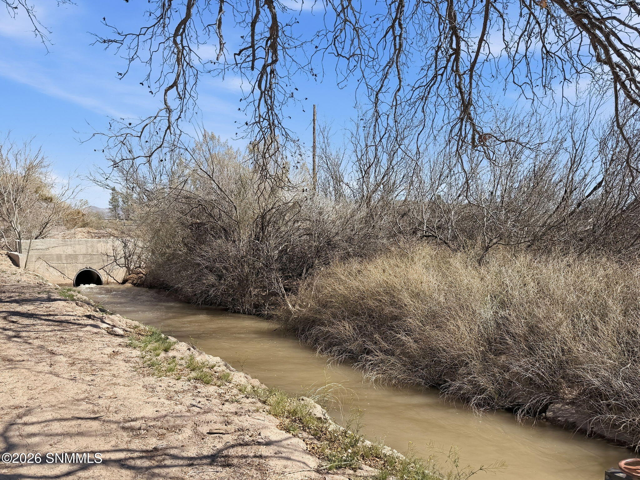 68-web-or-mls-Photo Mar 02 2026, 1 06 59