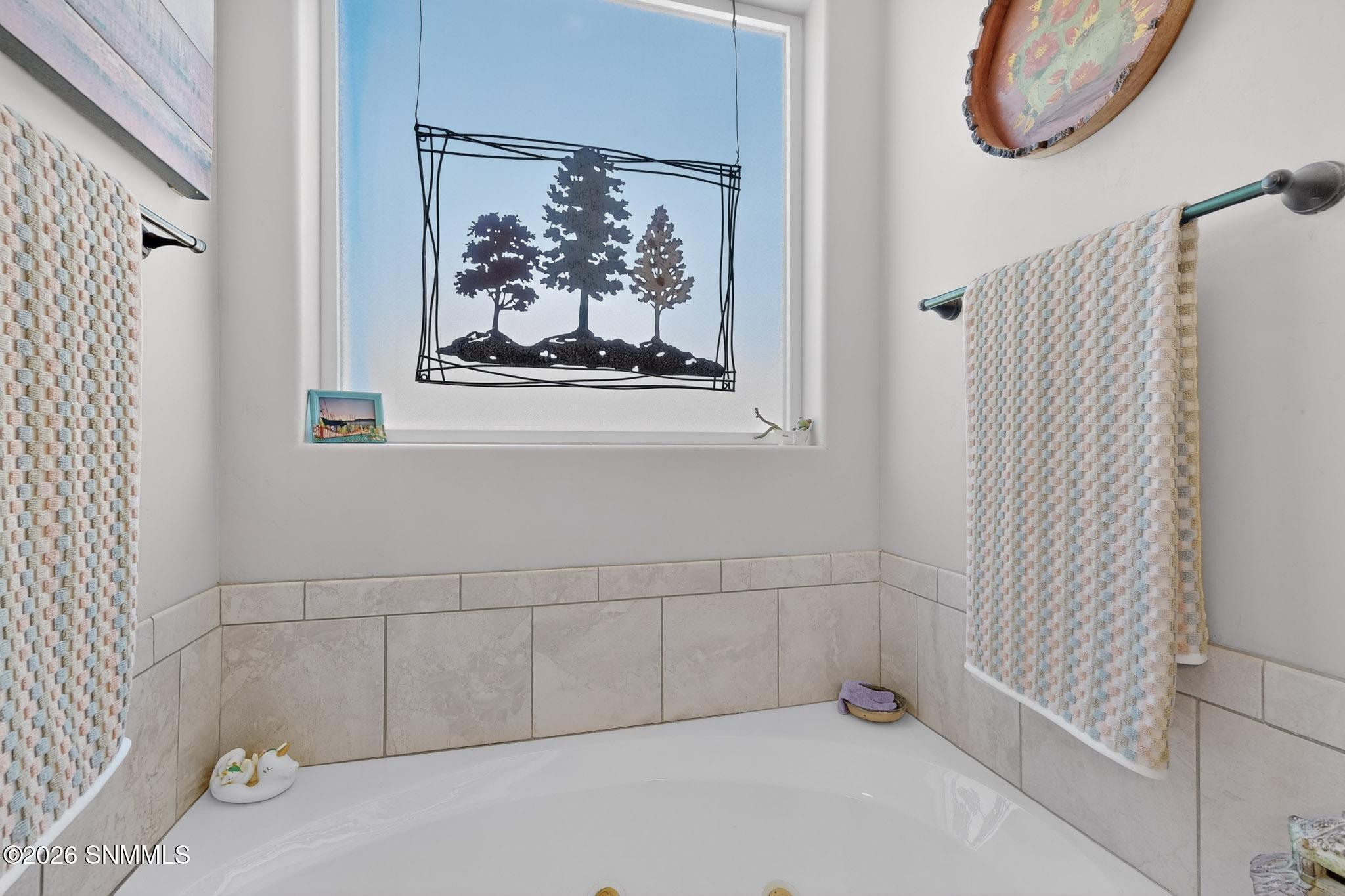 24-3D-Casas-2974-Chance-Rd-03042026_1233