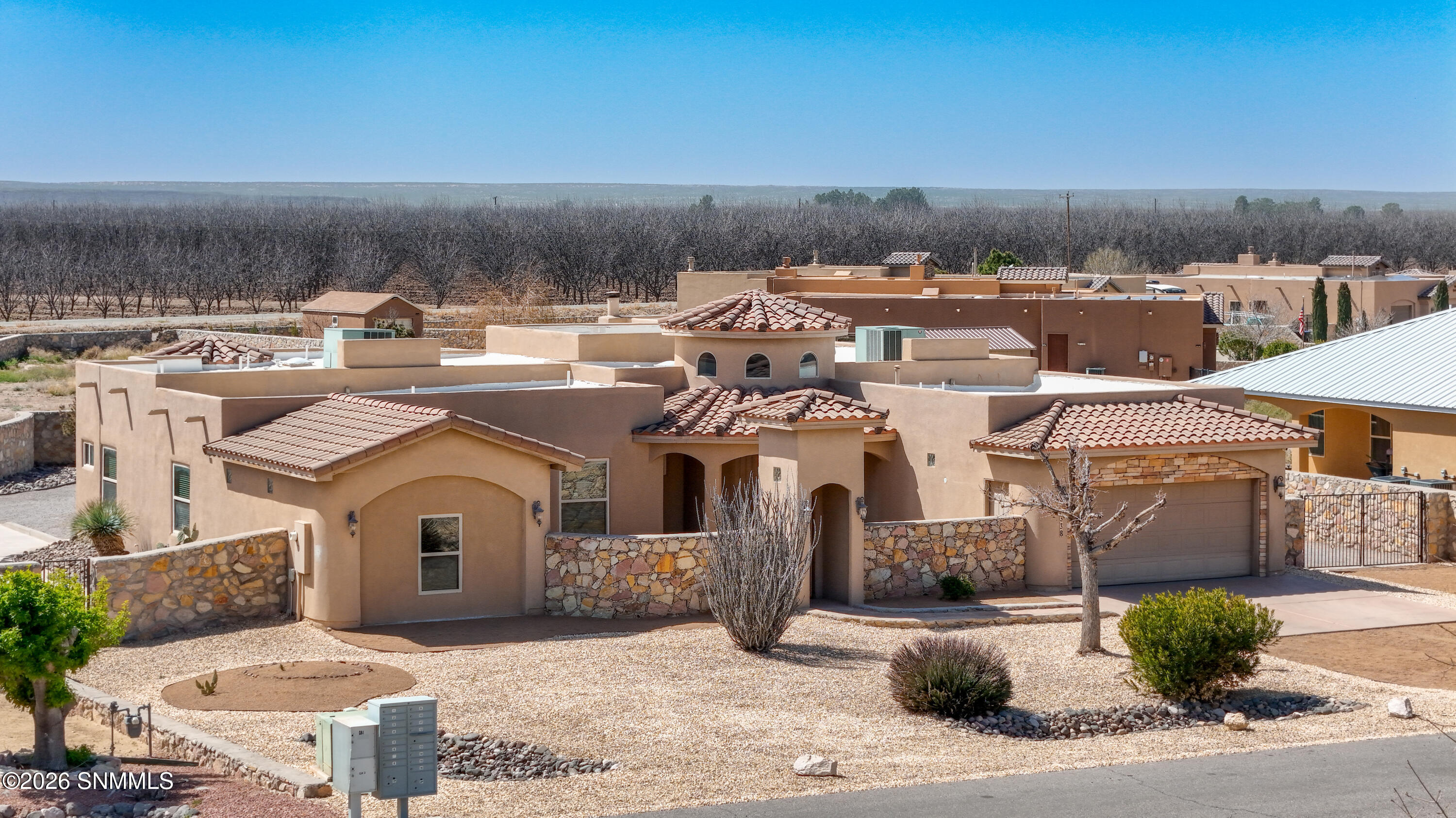 Photo Mar 12 2026, 2 03 26 PM