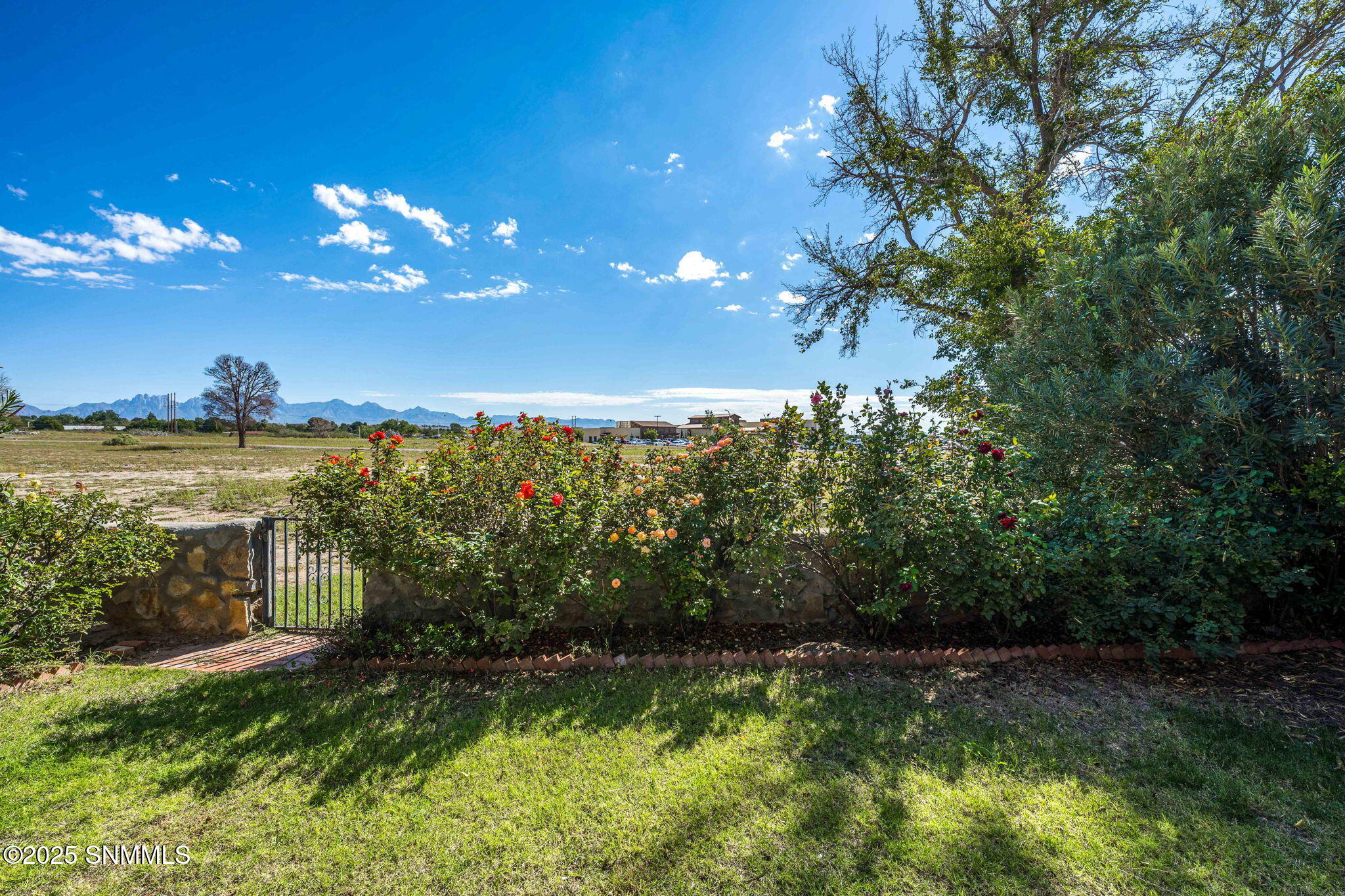 32-web-or-mls-Snappin Homes (CaminoDelRe