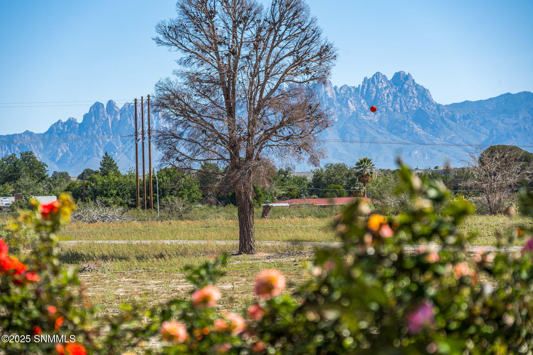 33-web-or-mls-Snappin Homes (CaminoDelRe