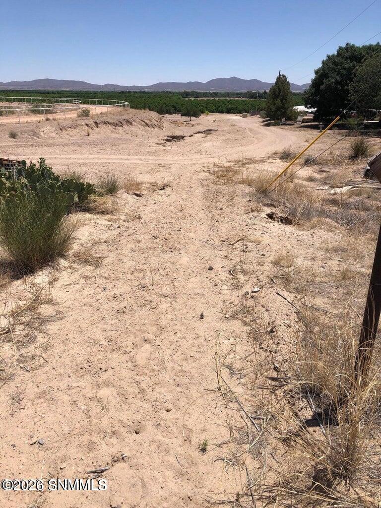 Ranch Road Horse fam next door