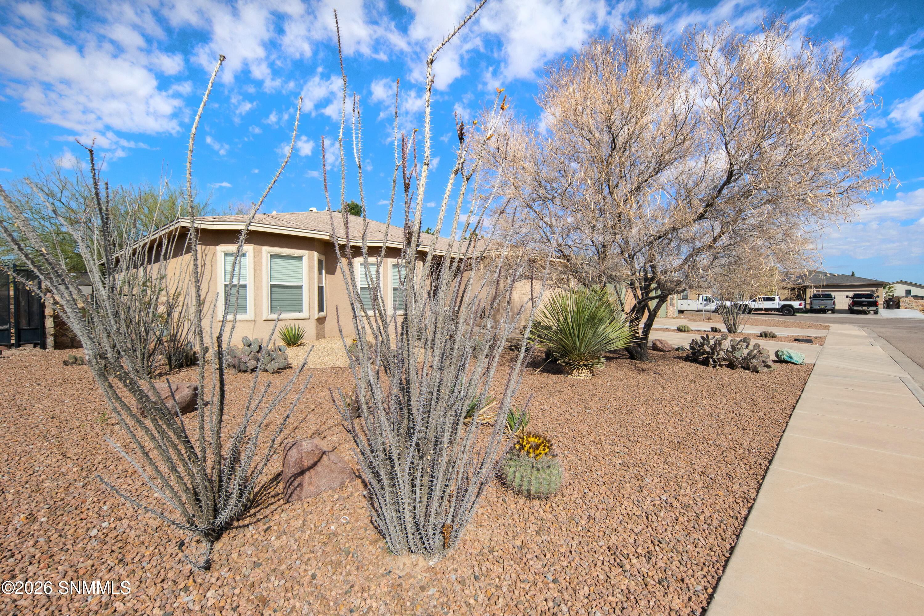 5805-Wales-MLS-Camera-Guy-4