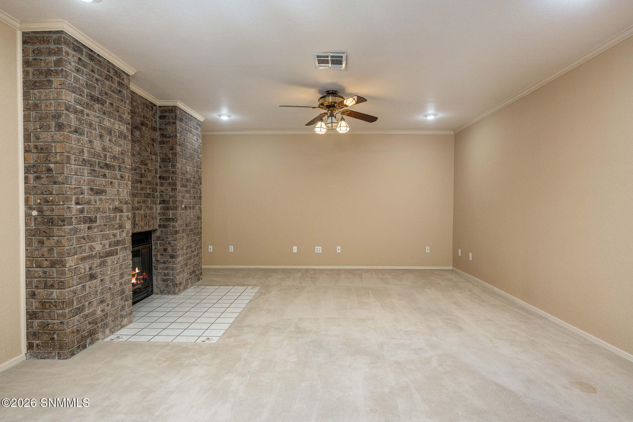 30-web-or-mls-Snappin Homes (TresPinos20