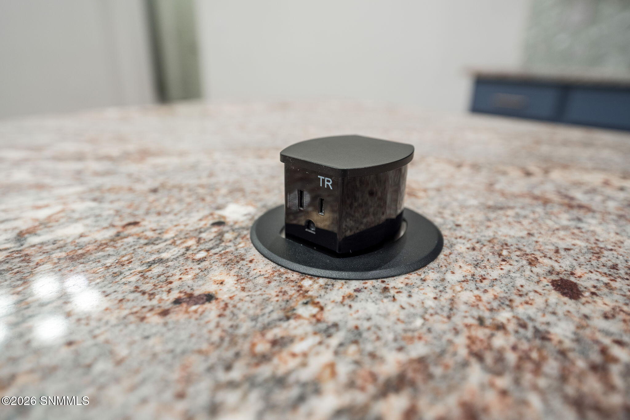 16-web-or-mls-Sage Springs 4358-46