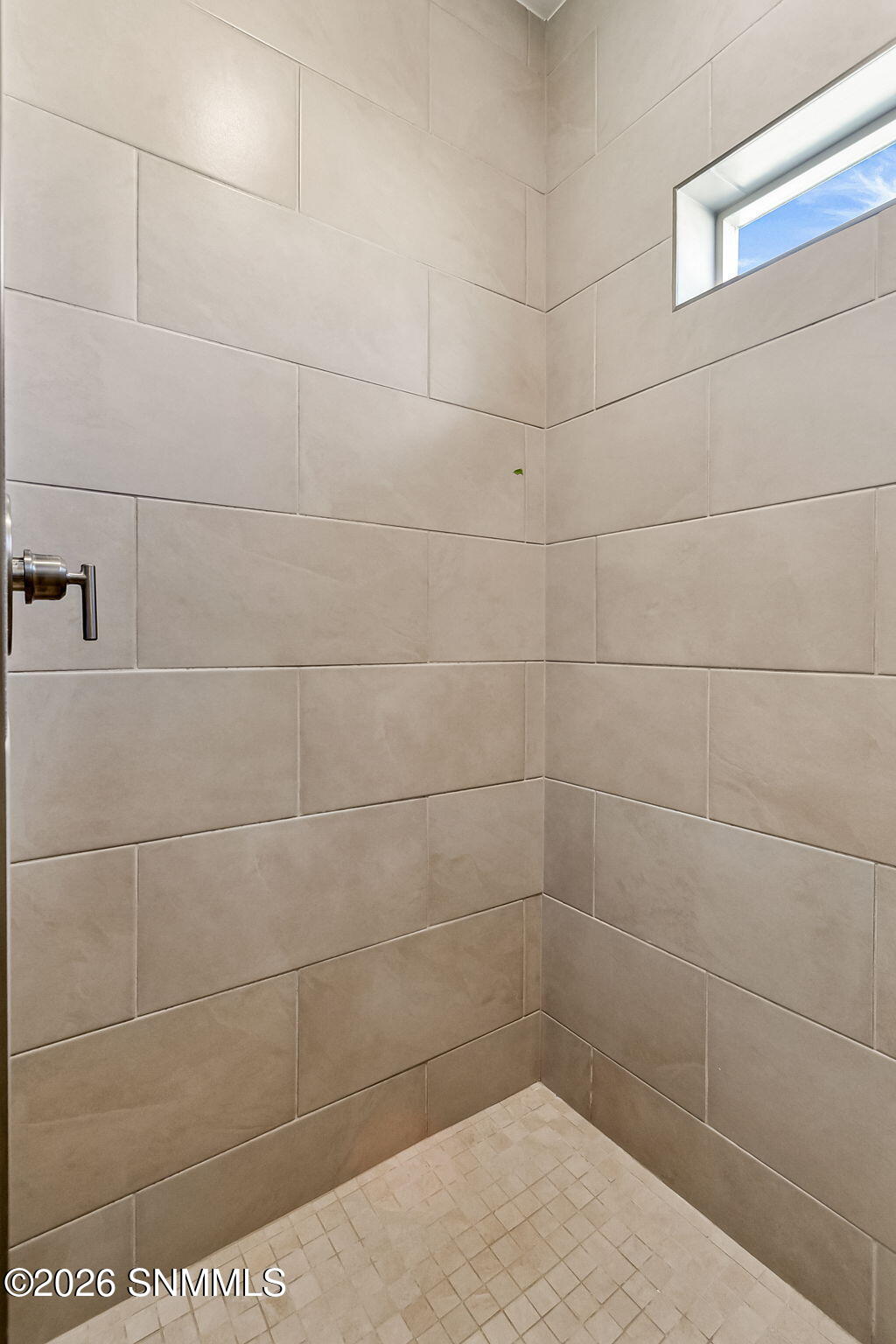 Primary Walk-in Shower