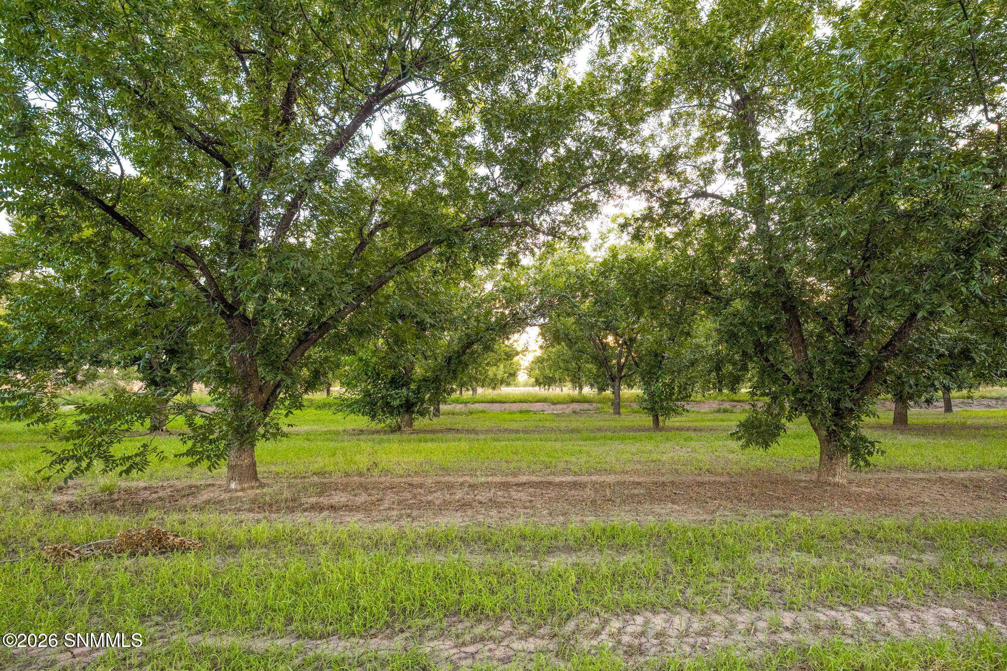 108-web-or-mls-Snappin Homes (Estrada307