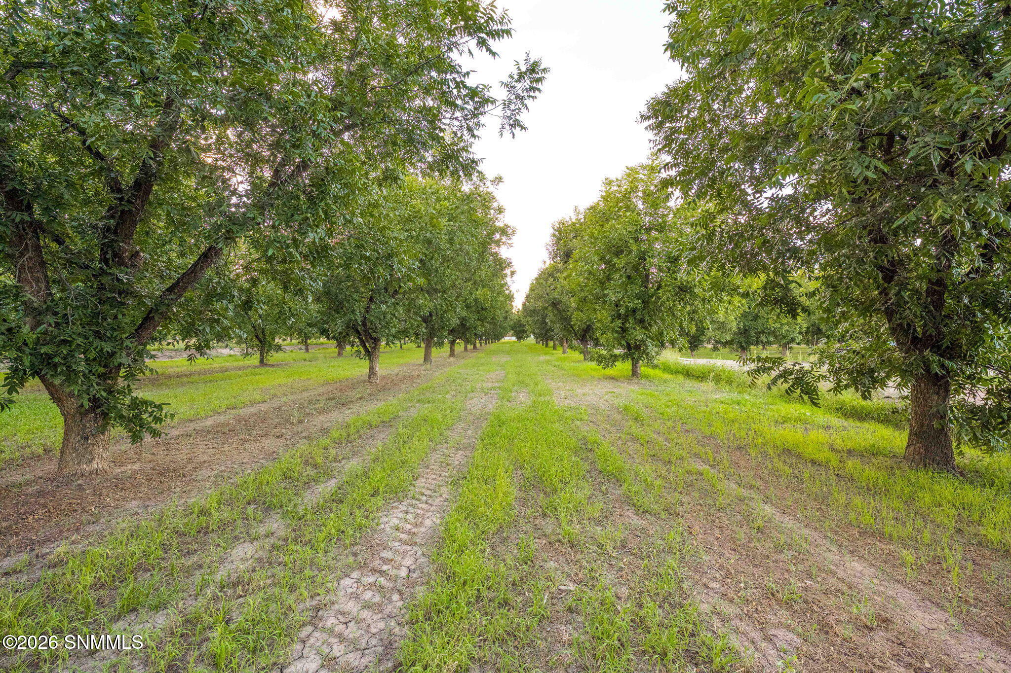 109-web-or-mls-Snappin Homes (Estrada307