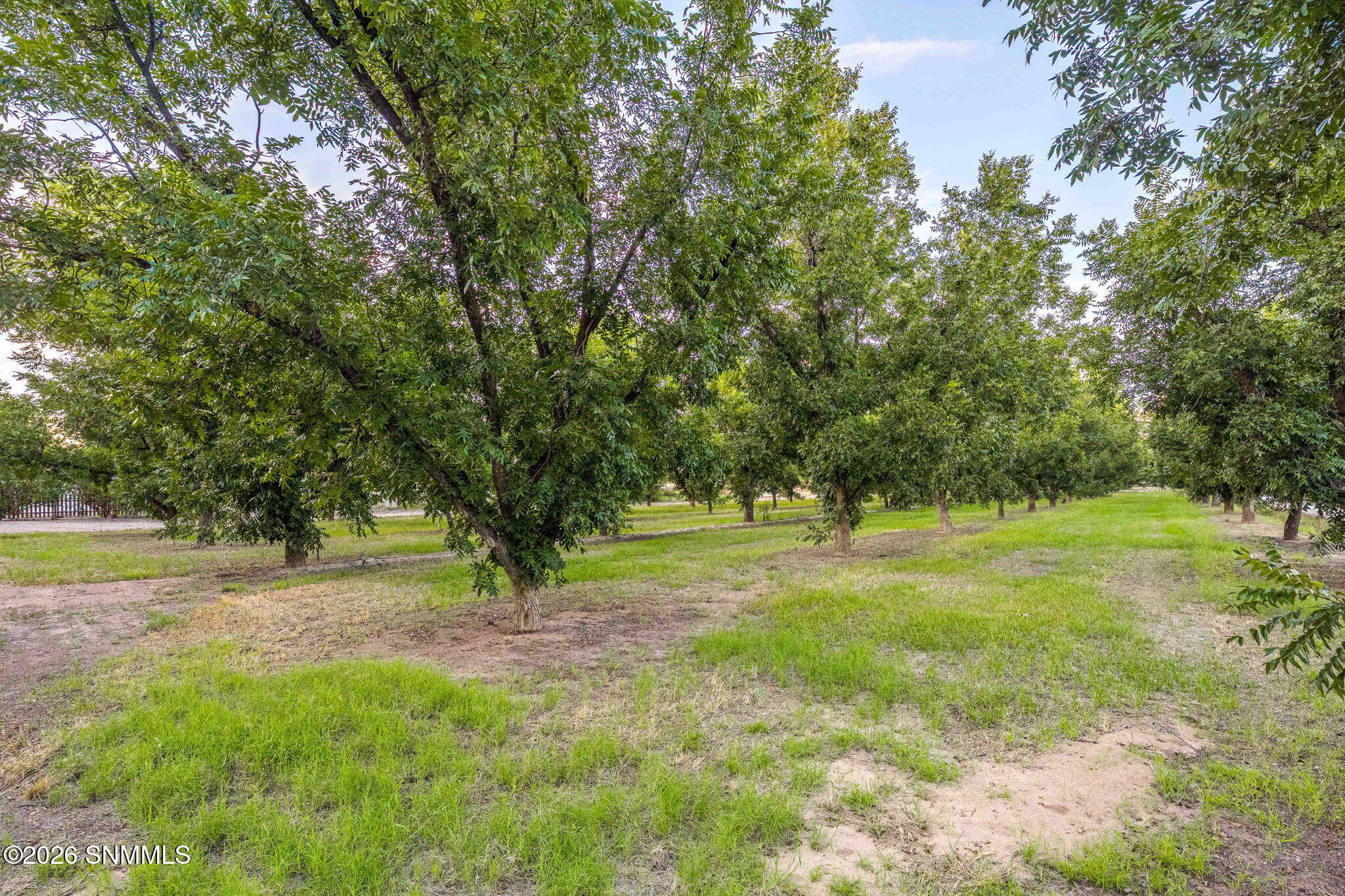 112-web-or-mls-Snappin Homes (Estrada307