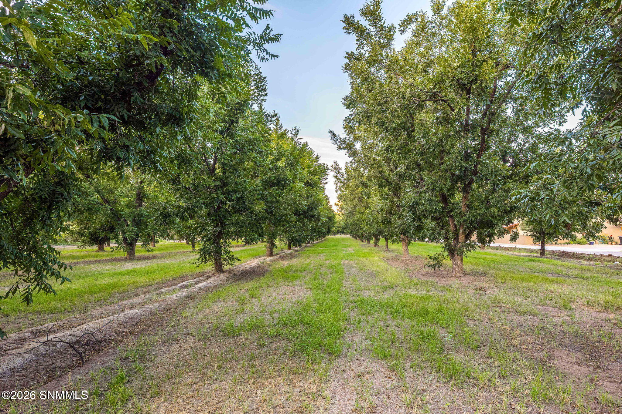 113-web-or-mls-Snappin Homes (Estrada307