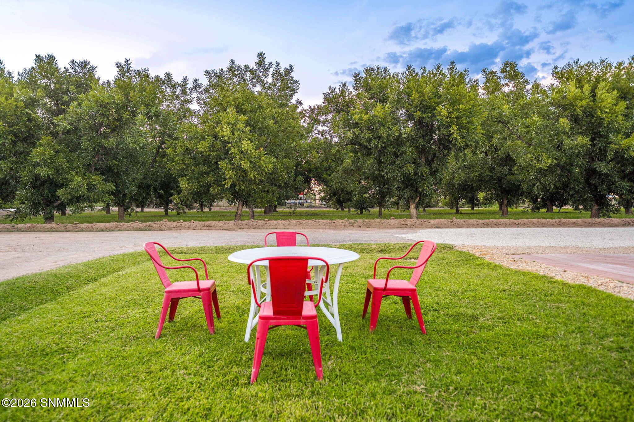 115-web-or-mls-Snappin Homes (Estrada307