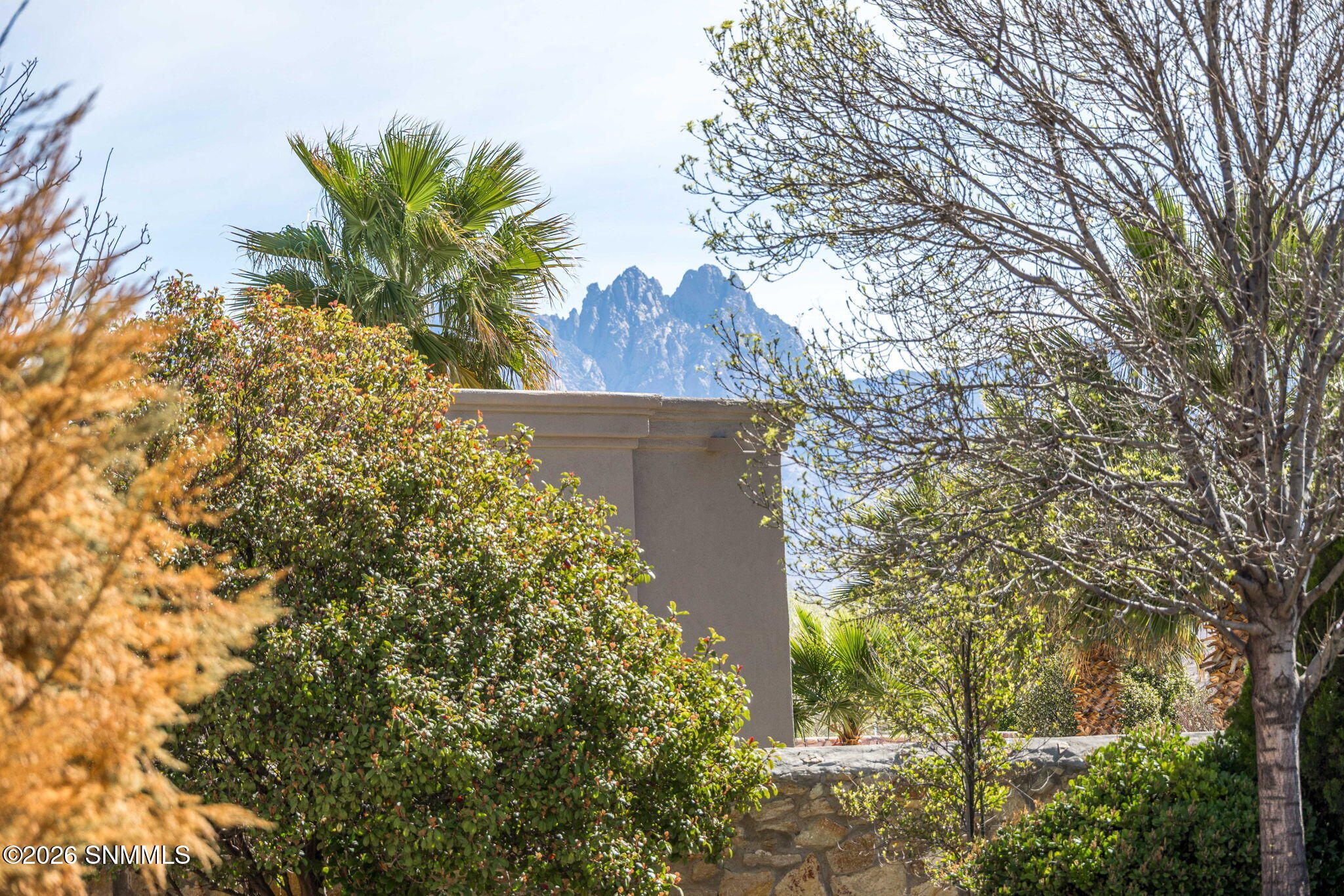 71-web-or-mls-Snappin Homes (Venetian428