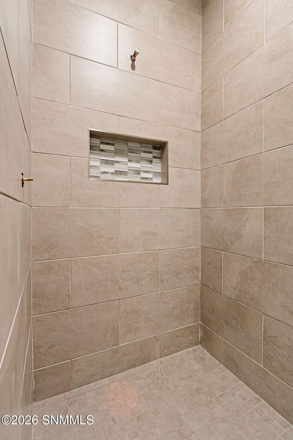 Primary Walk-in Shower