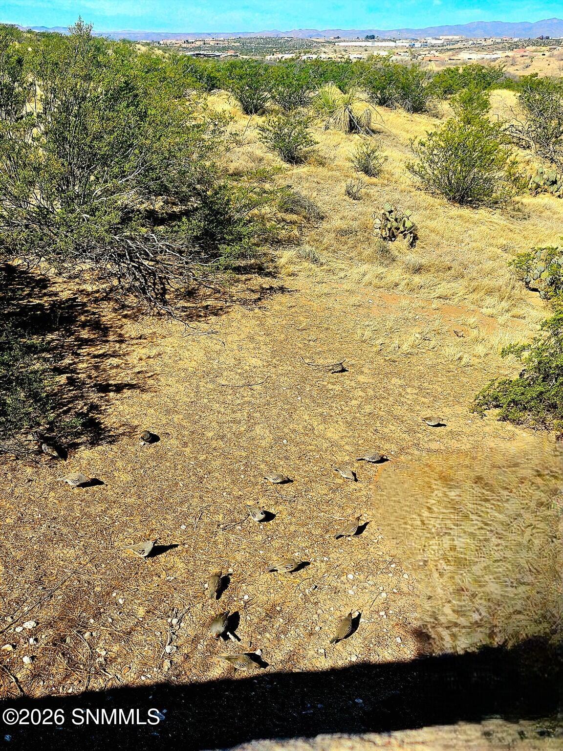 43-web-or-mls-7615504408253360220