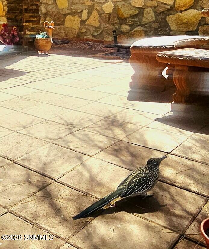 47-web-or-mls-3446576041070316949