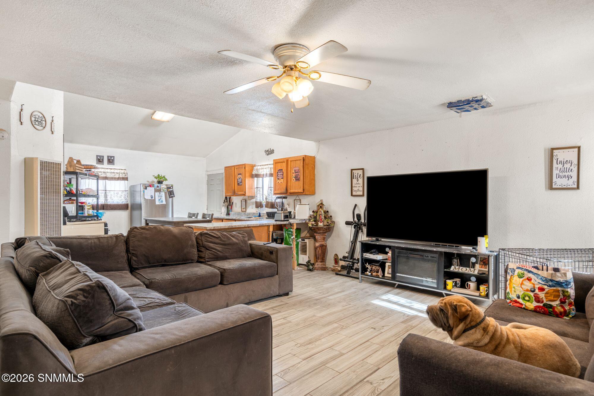 BH Living Room 1