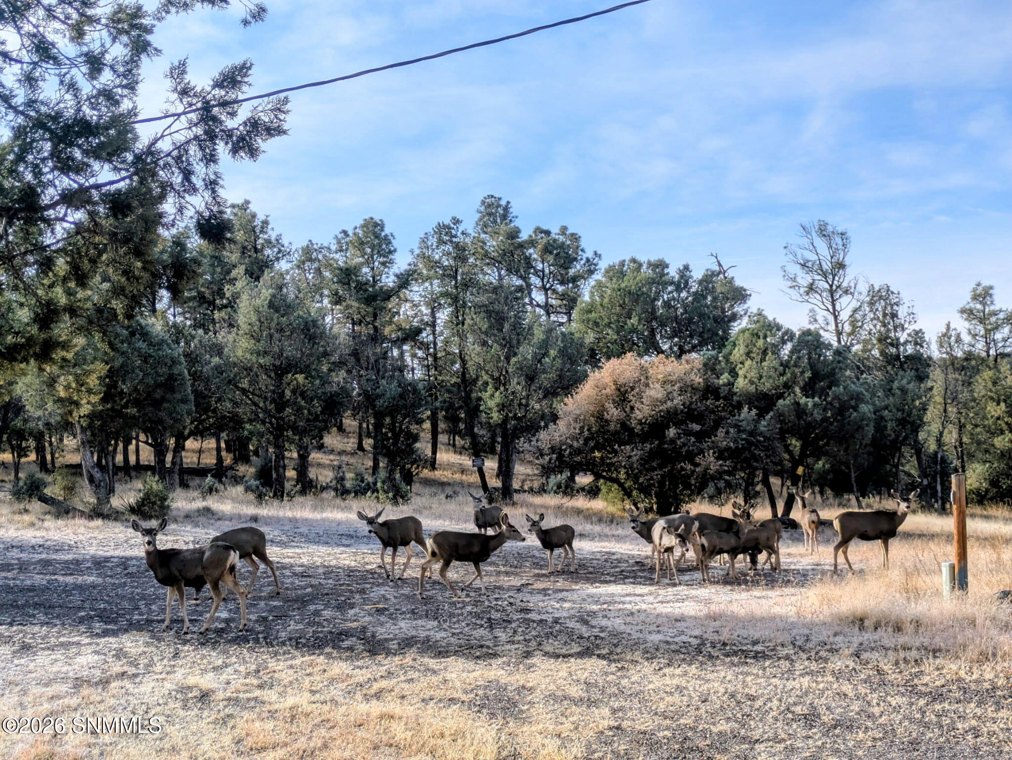 IMG_20260330_192923 (5)