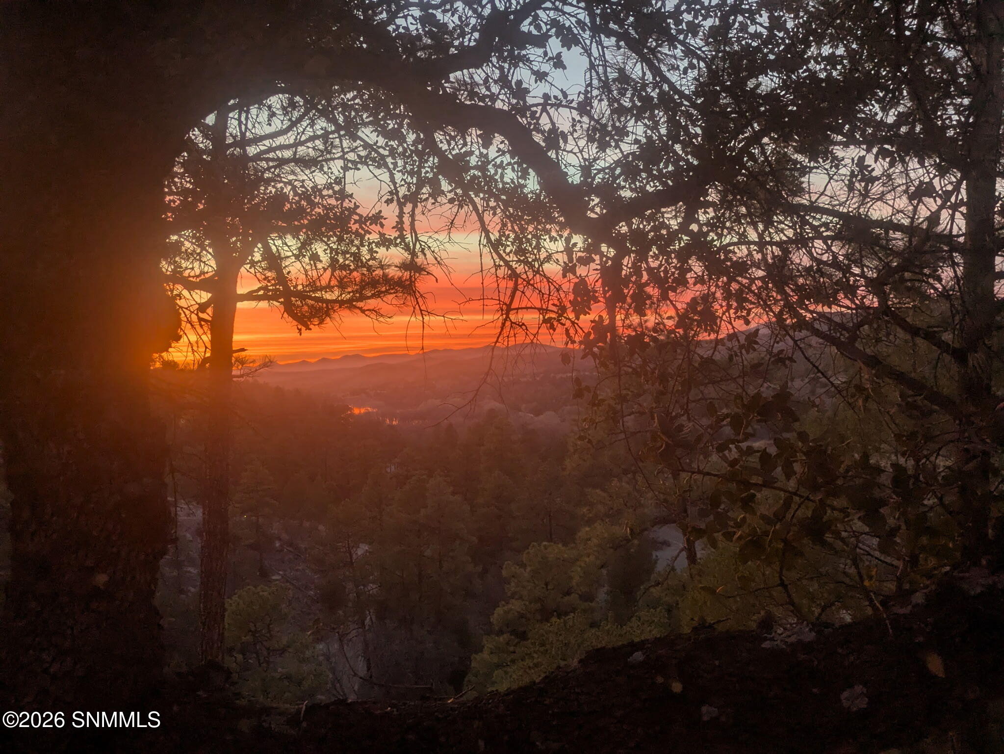 IMG_20260330_192923 (2)