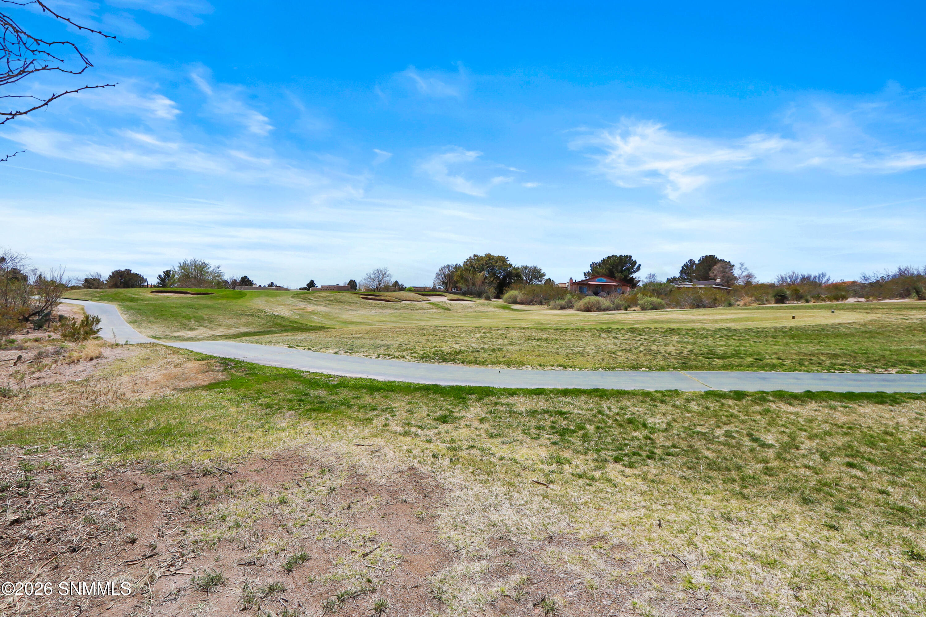 77-print-35-print-9-print-IMG_0765