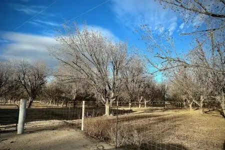 TBA Highway 259, Anthony, New Mexico 88021, ,Farm,For Sale,Highway 259,2601022