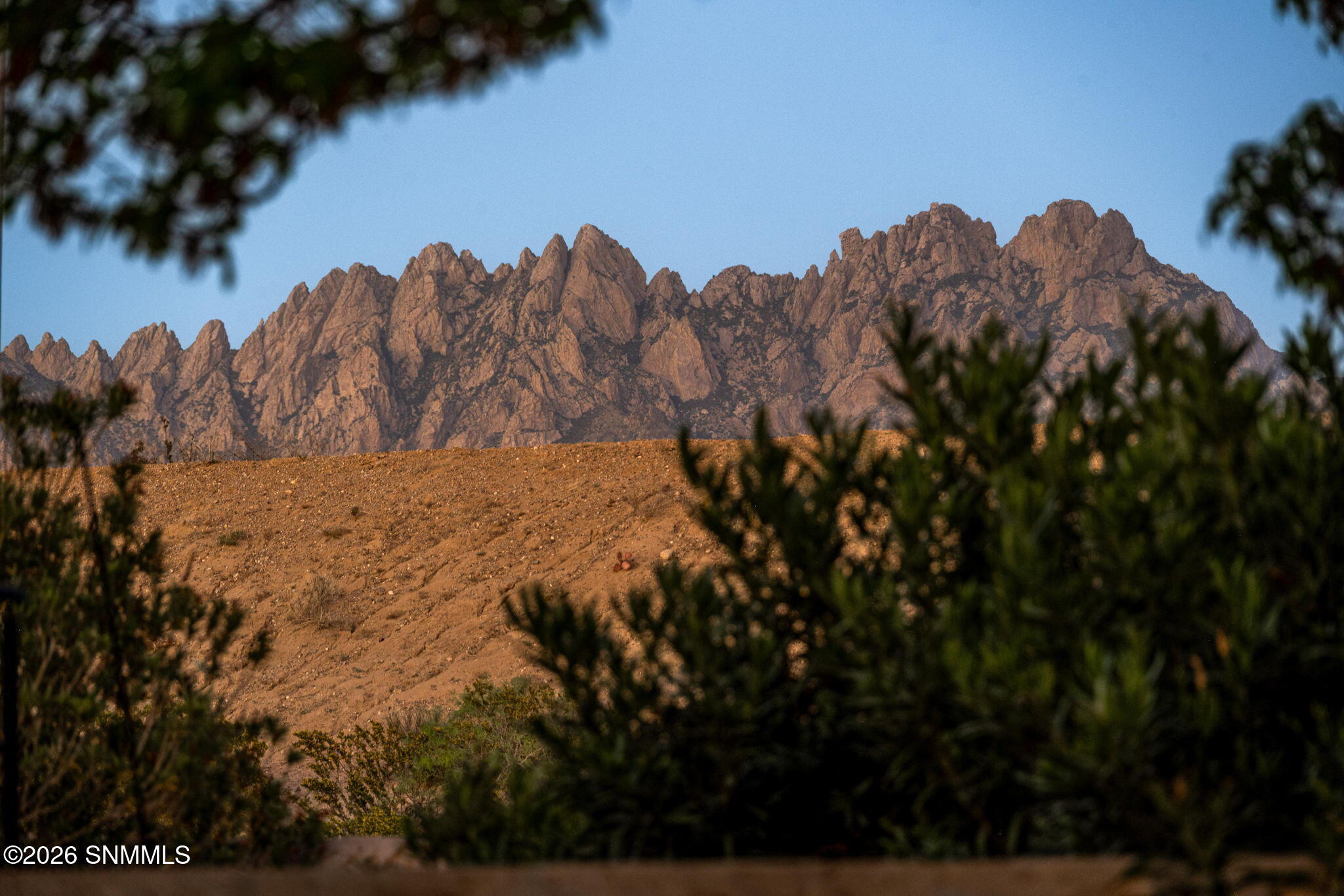 1 2444 Eldorado Ct. Las Cruces NM Z Real