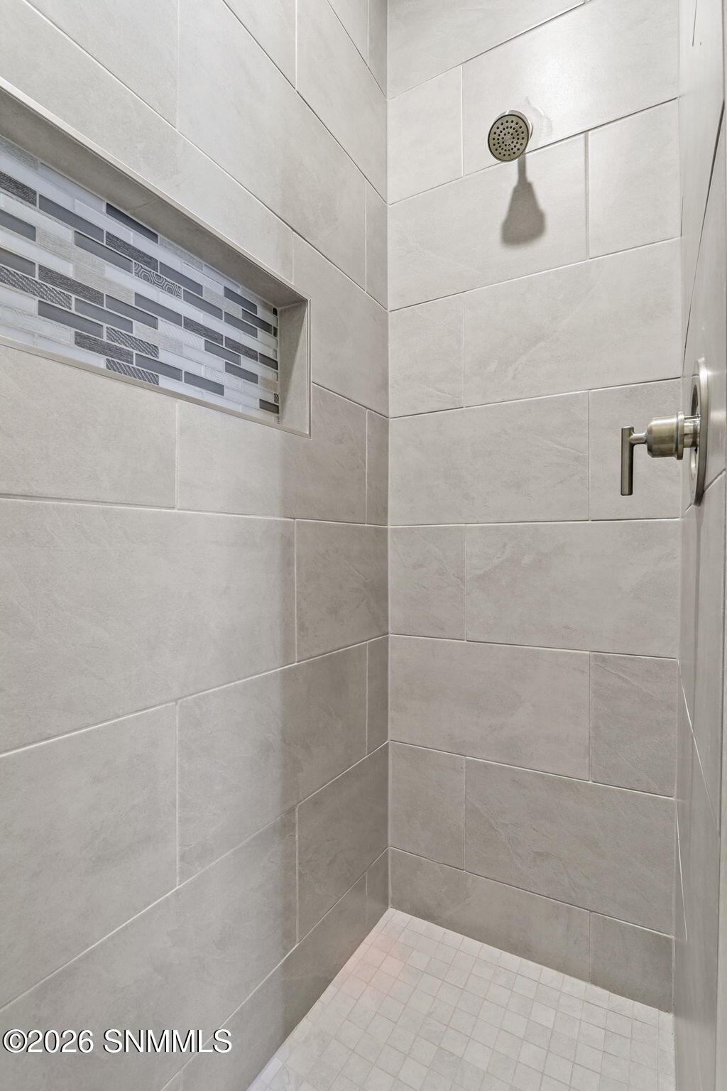 Primary Walk-in Shower