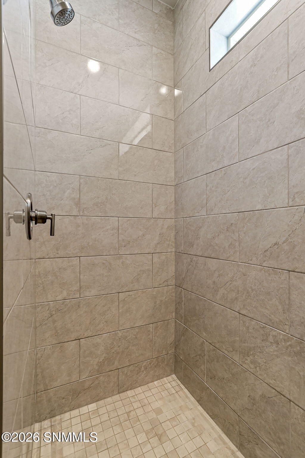 Primary Walk-in Shower