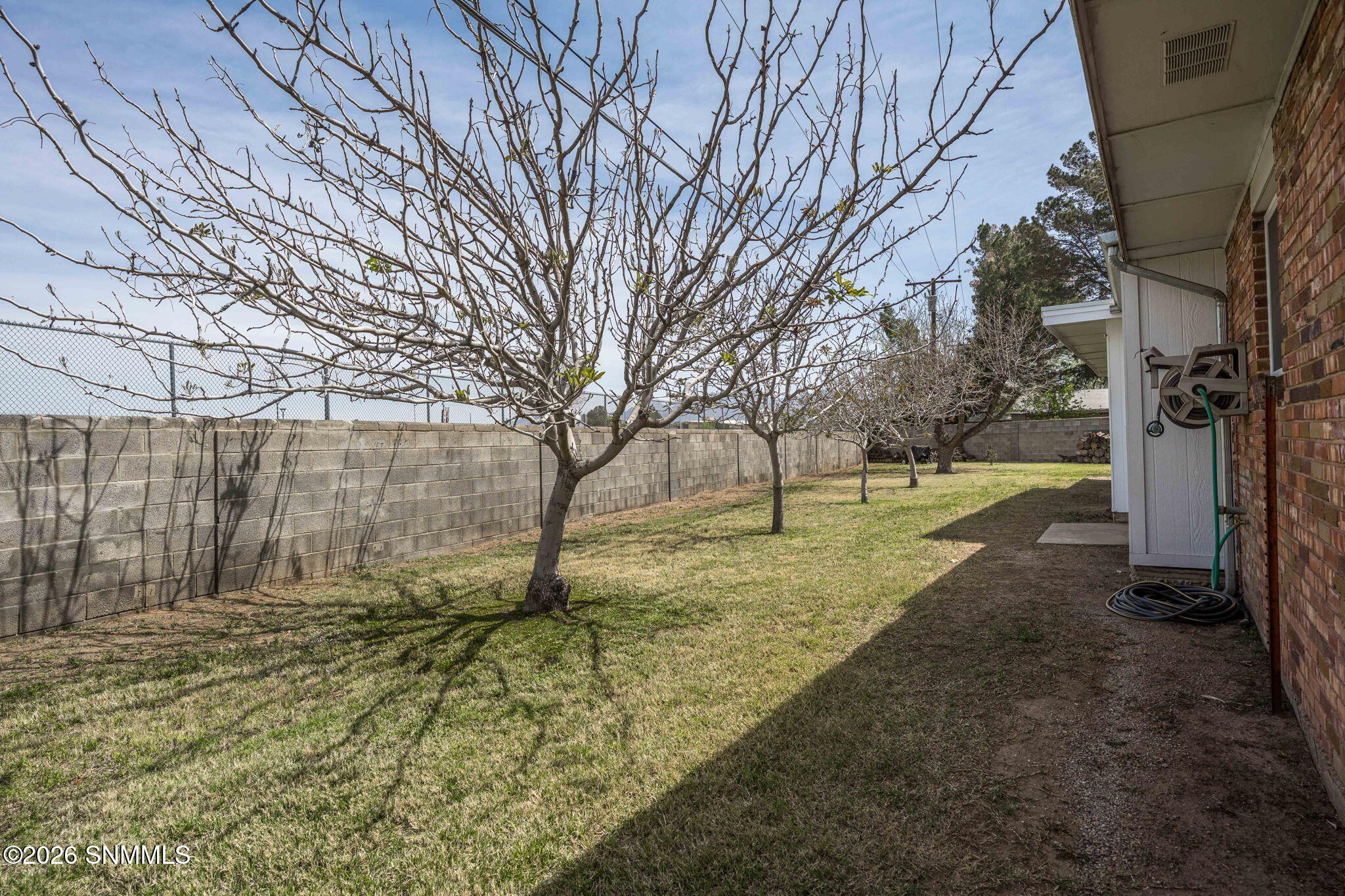 40-web-or-mls-Snappin Homes (Crescent198