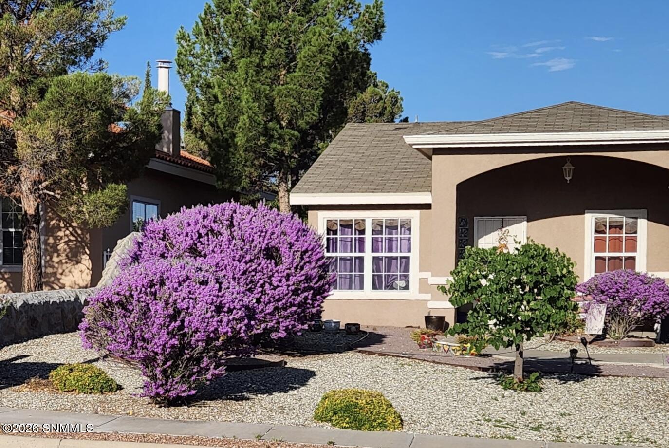 Sage Brush Blooms After Rain