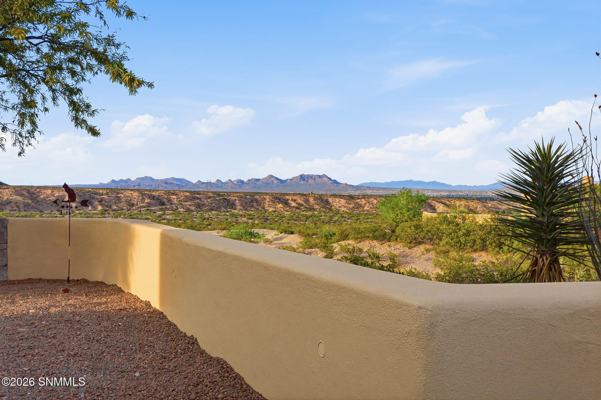 3-web-or-mls-IMG_7403