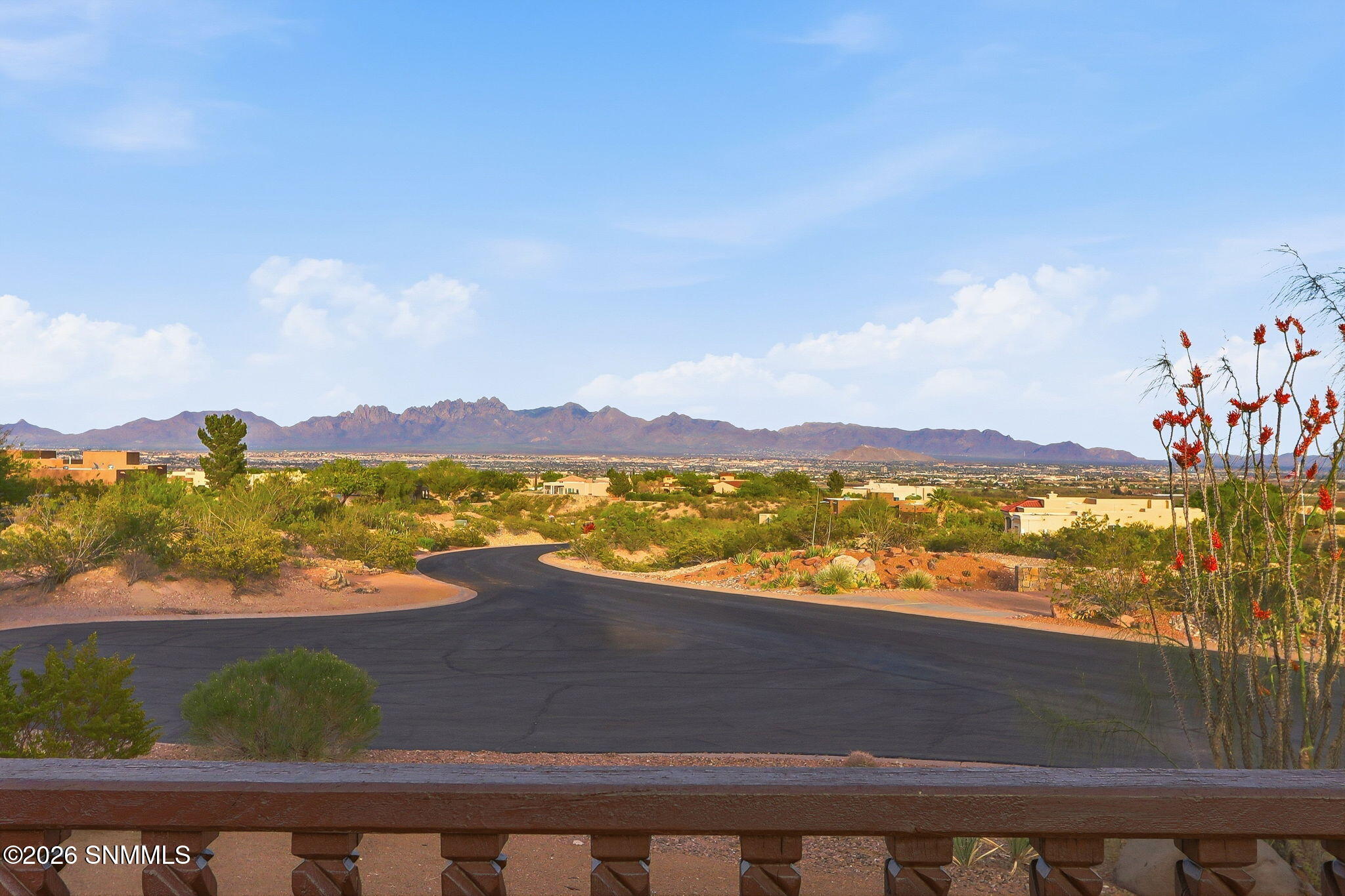 2-web-or-mls-IMG_7396