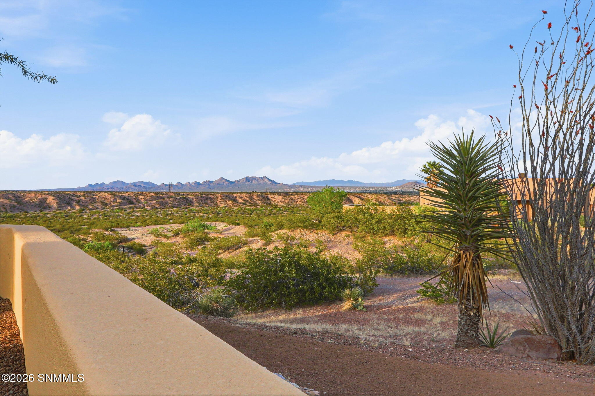 4-web-or-mls-IMG_7410