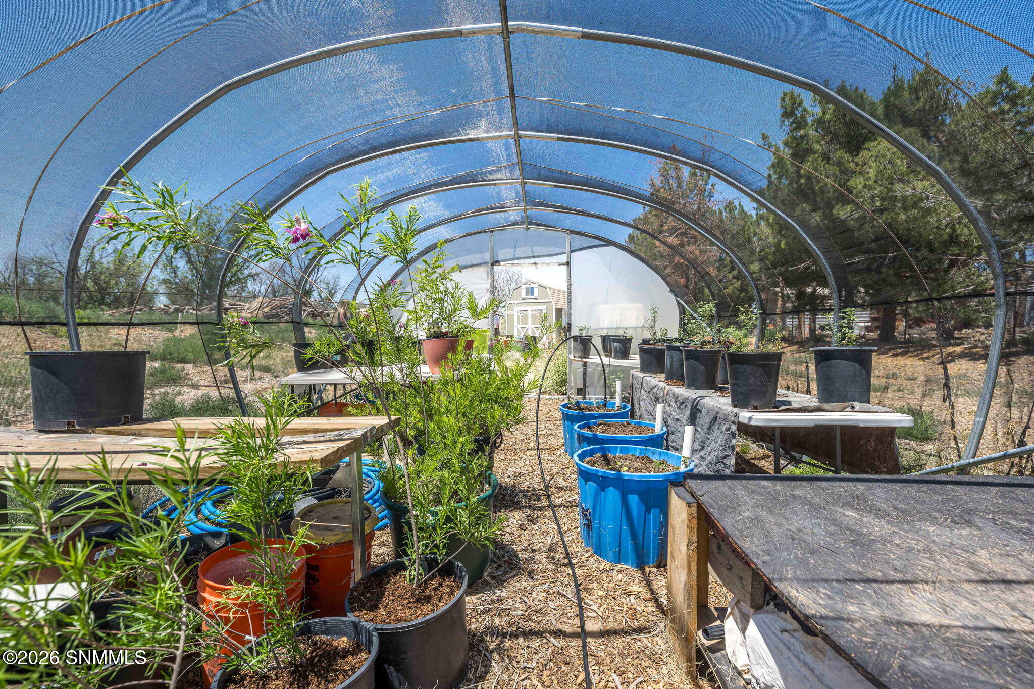 15-web-or-mls-Snappin Homes (Carver680Lo