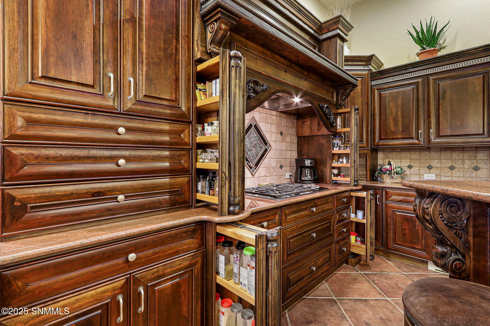 46-web-or-mls-IMG_7297