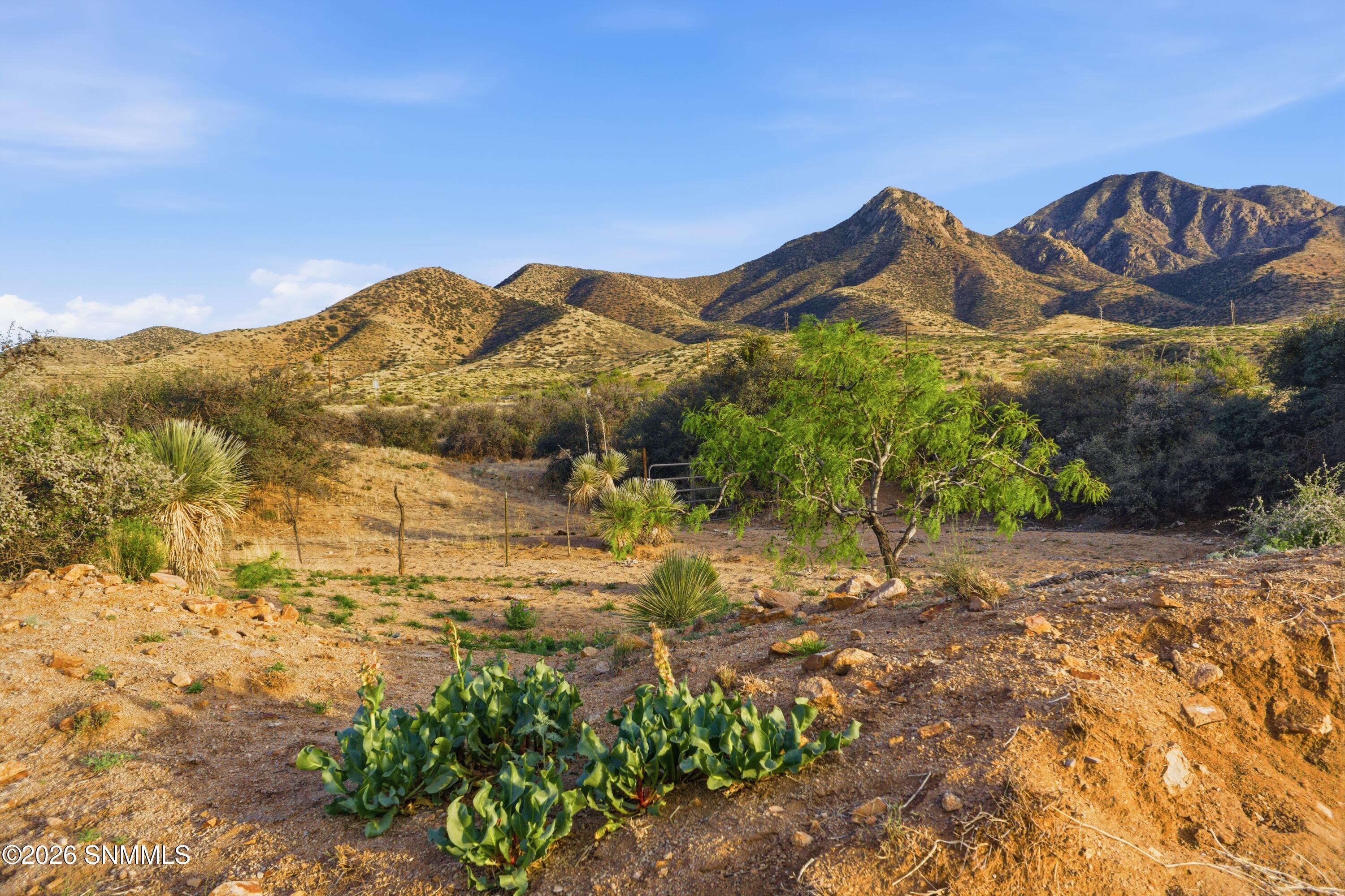 Cactus_Keys_Group_021