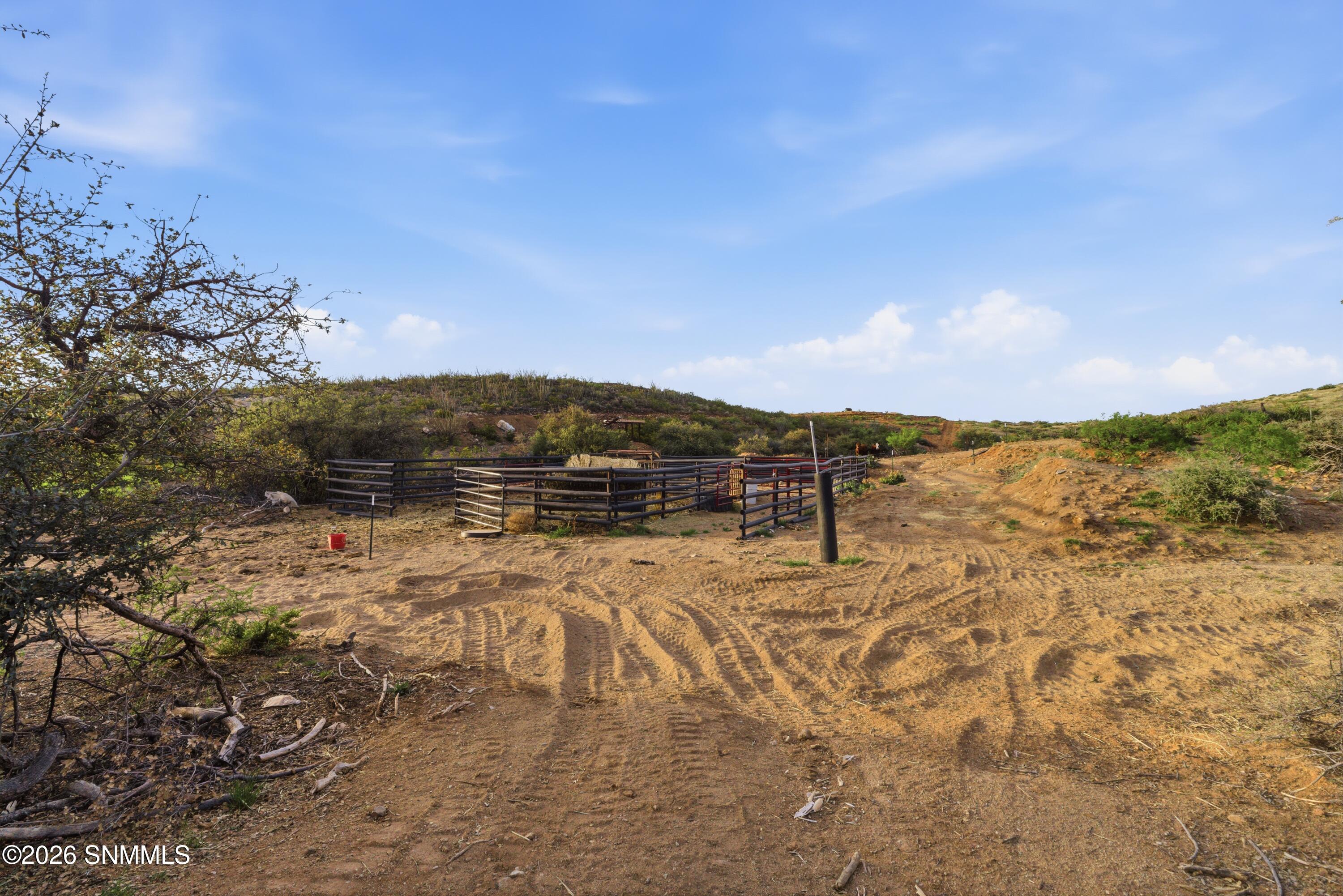 Cactus_Keys_Group_014