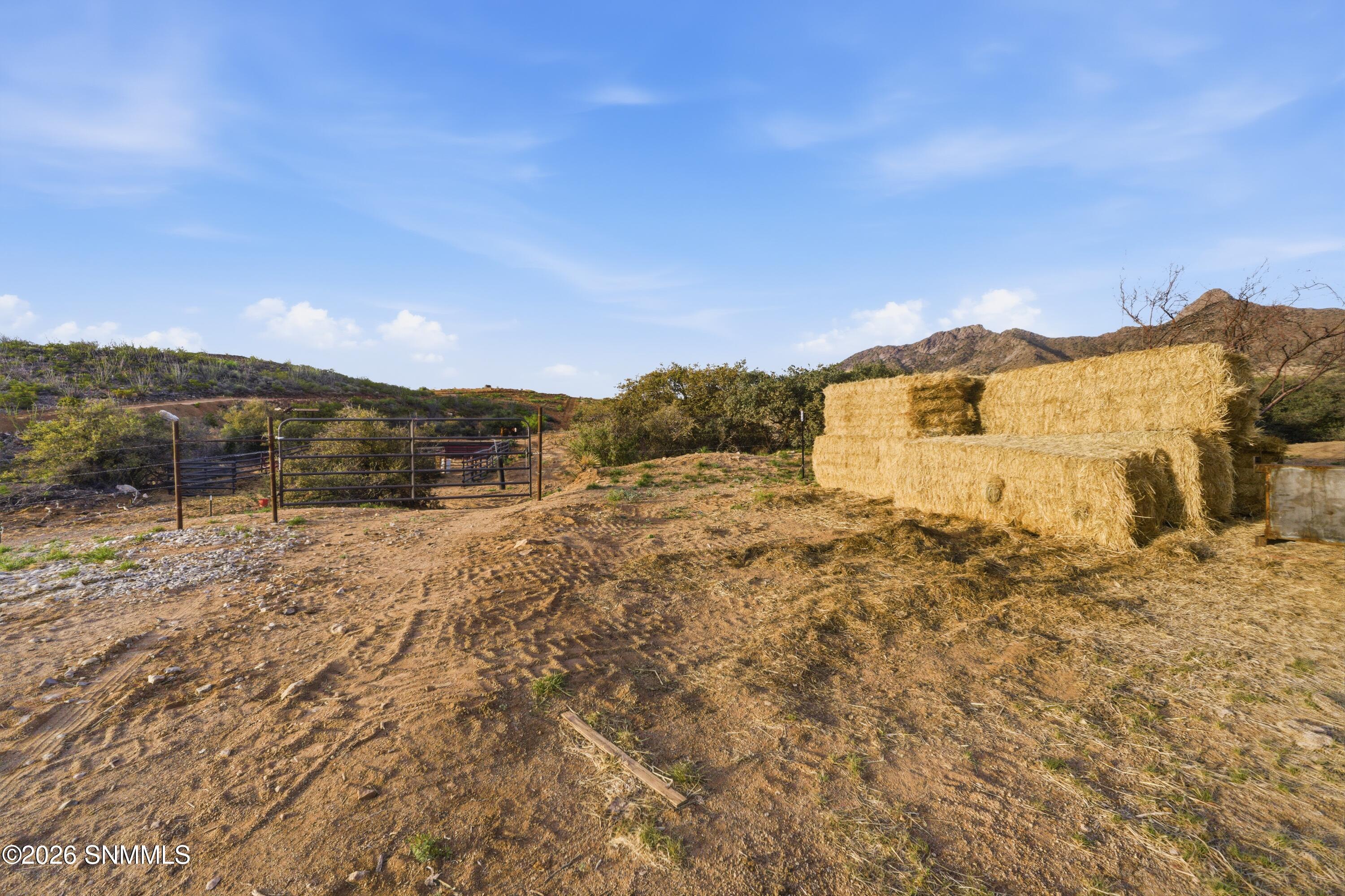 Cactus_Keys_Group_013