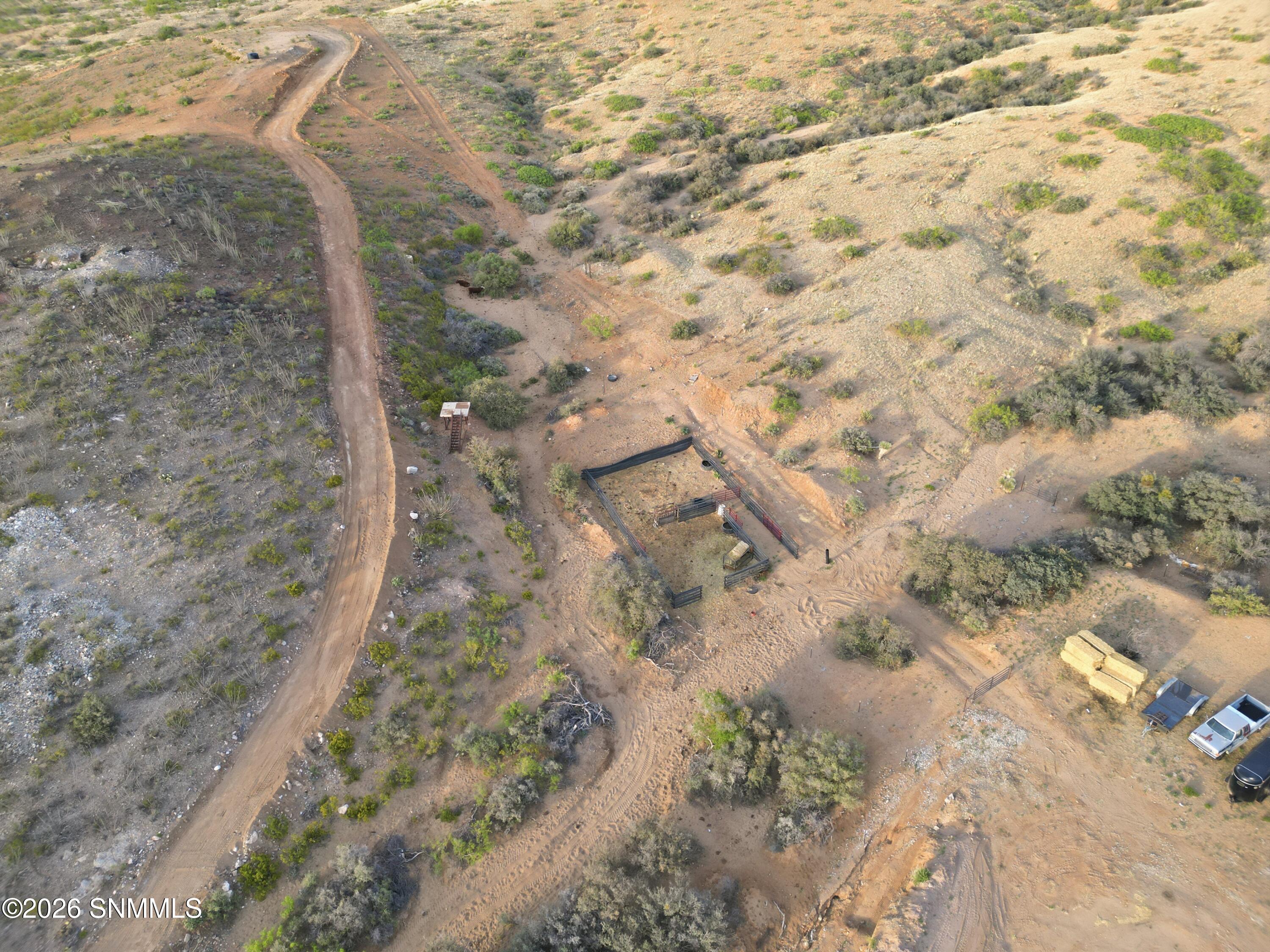 Cactus_Keys_Group_003