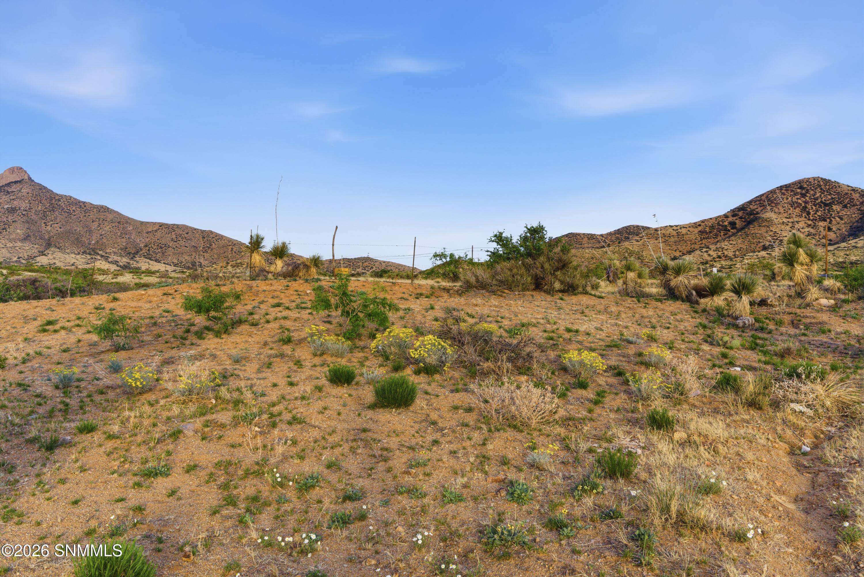 Cactus_Keys_Group_029