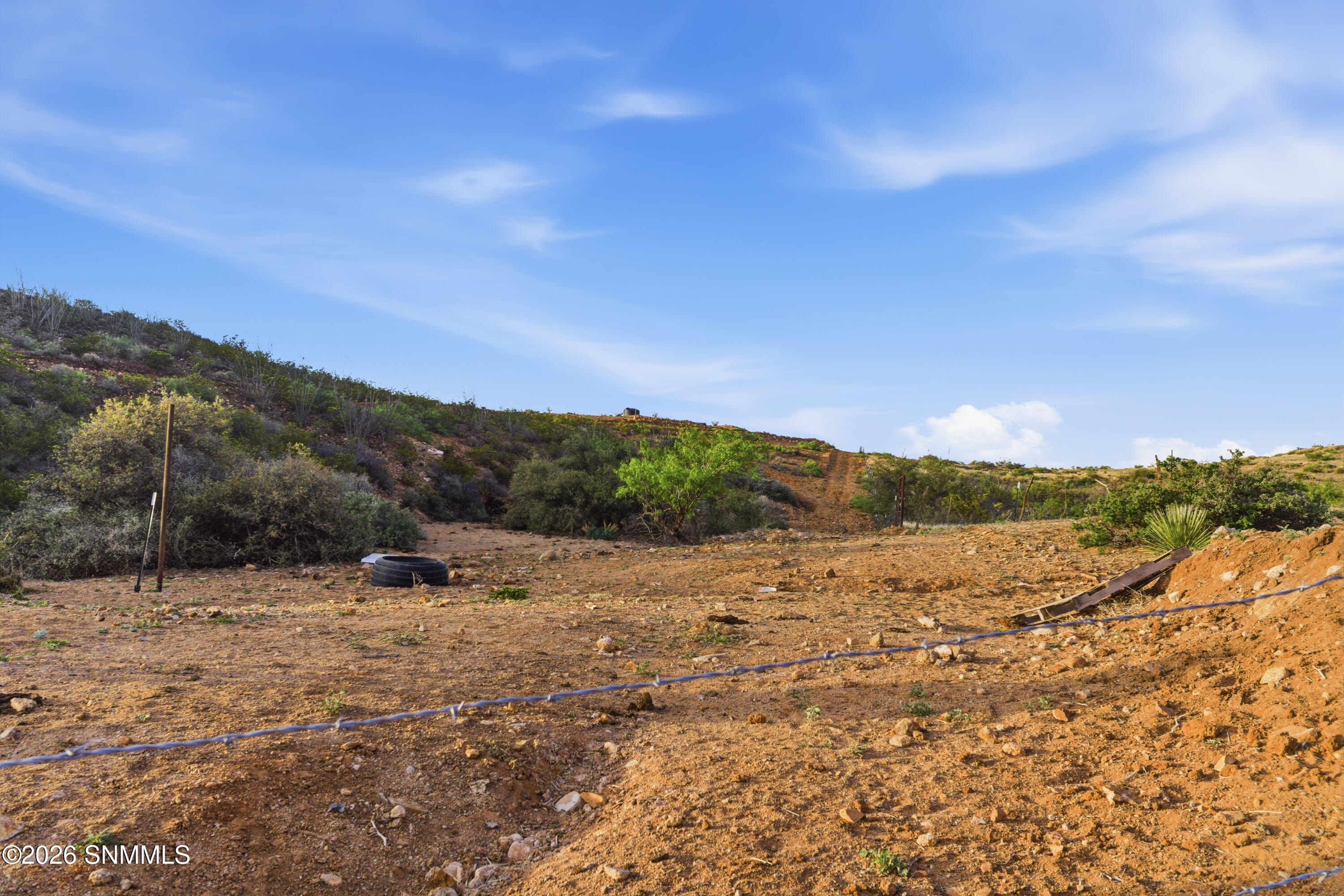 Cactus_Keys_Group_020