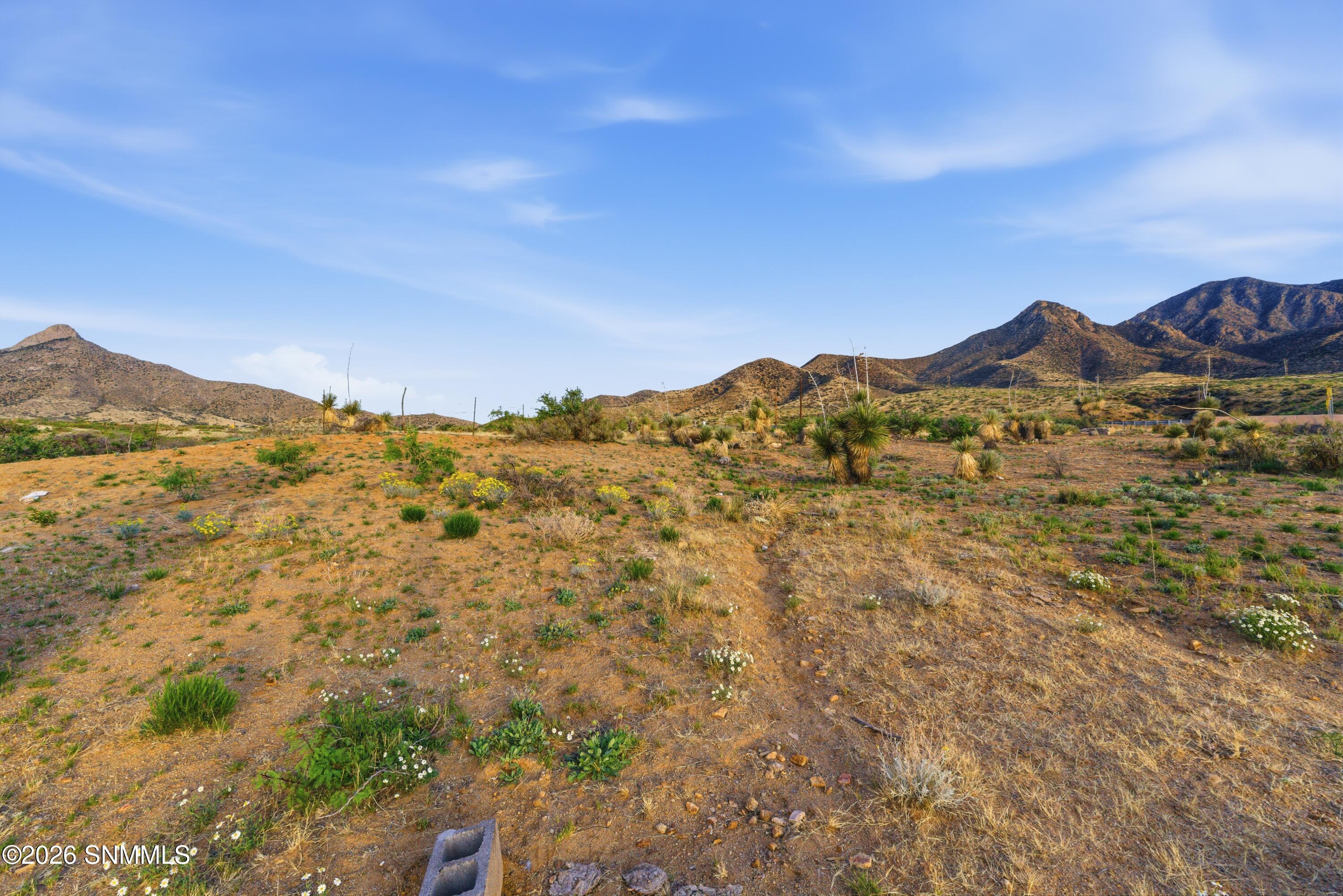 Cactus_Keys_Group_030