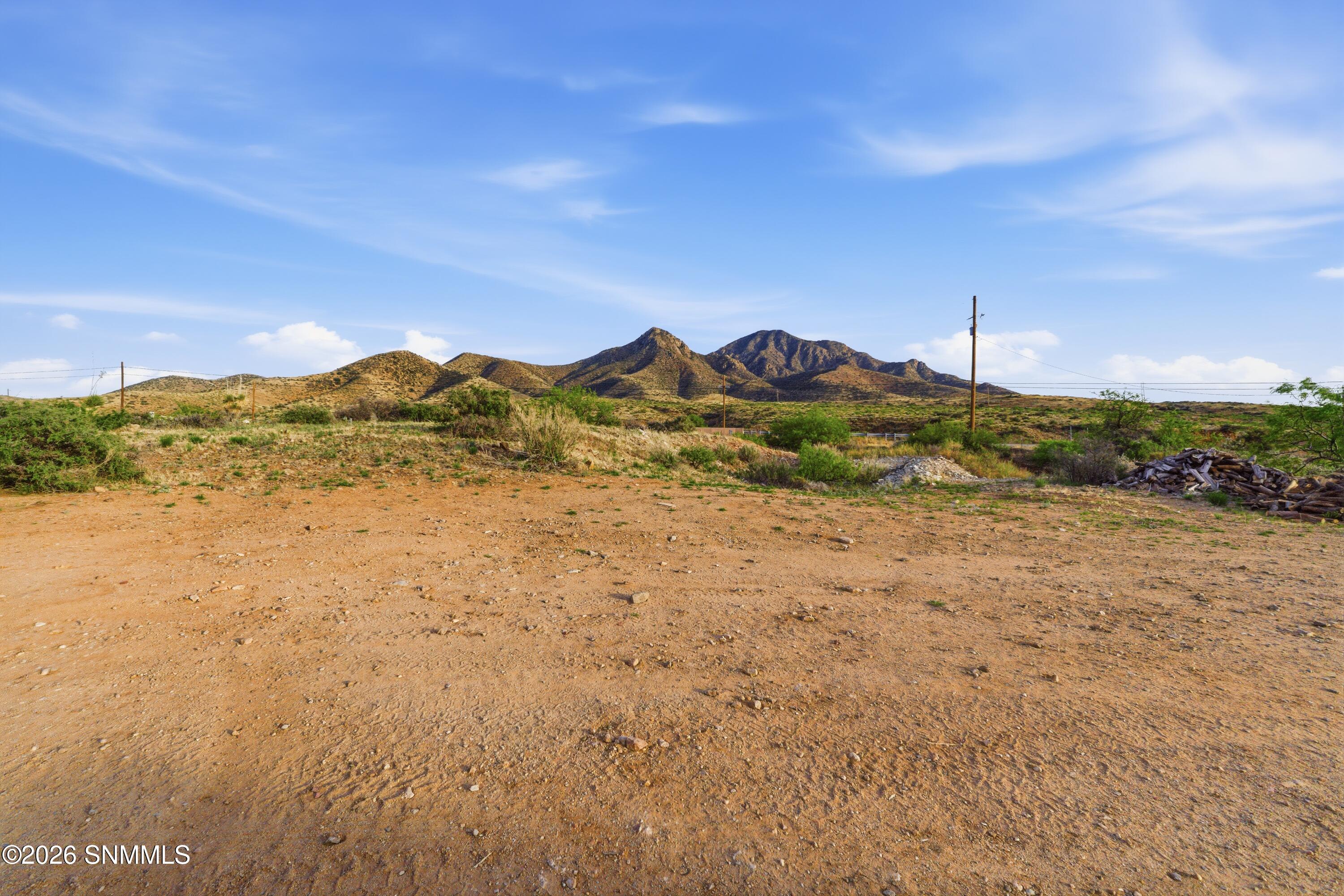 Cactus_Keys_Group_009