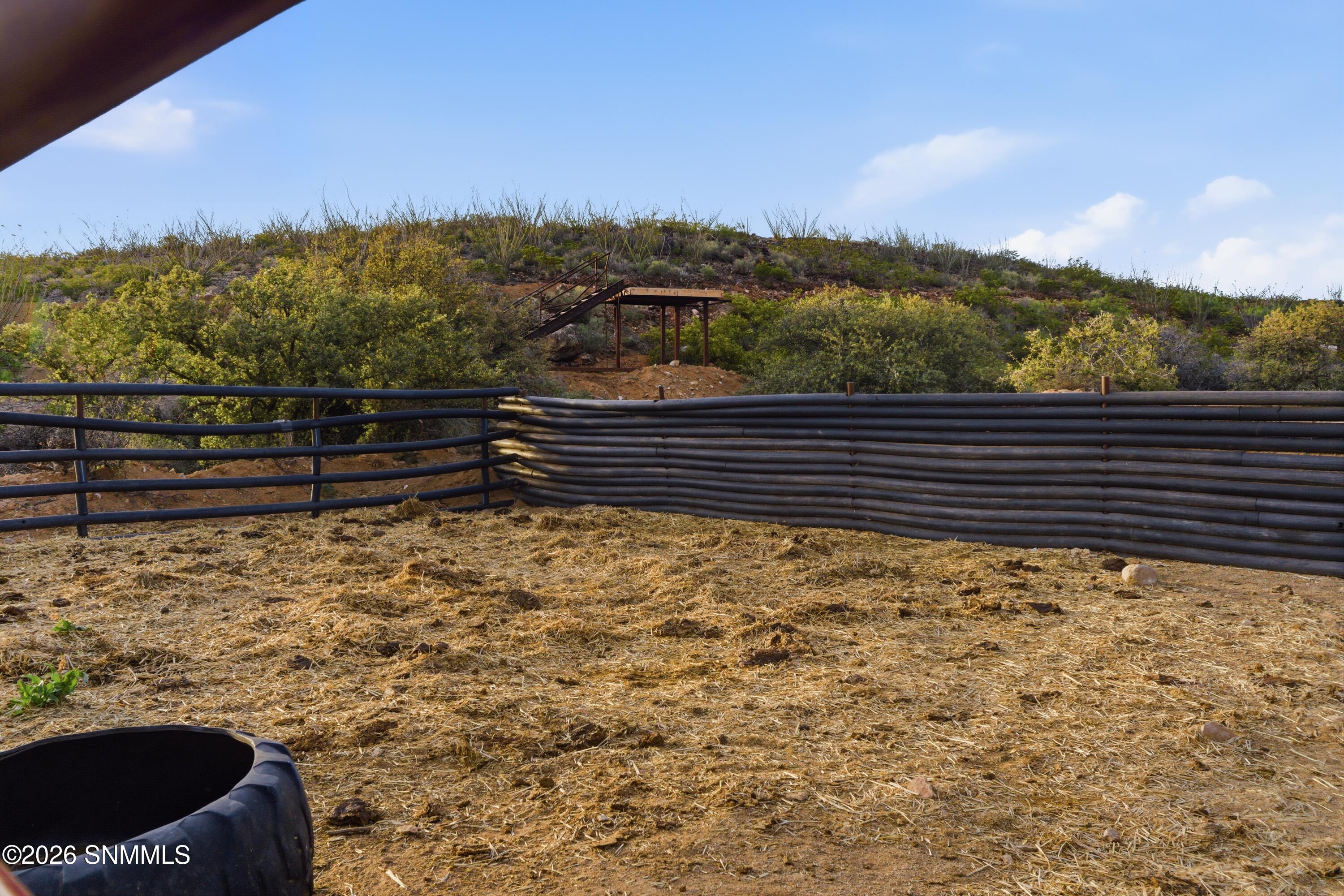 Cactus_Keys_Group_018