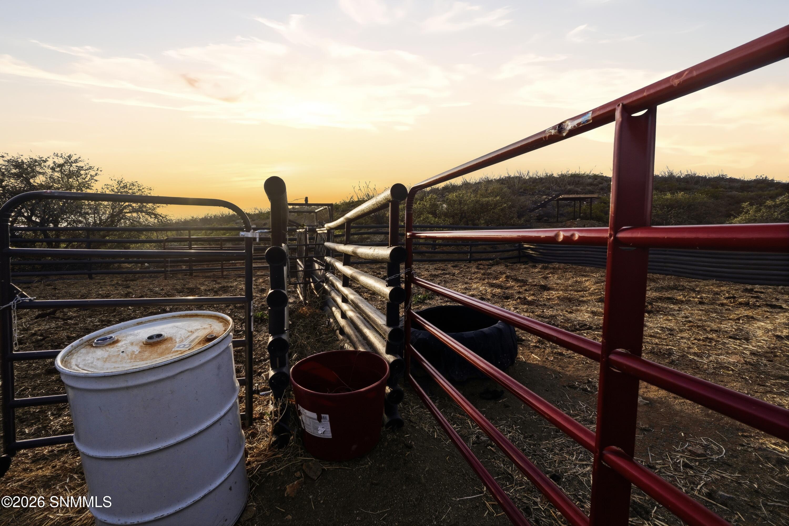 Cactus_Keys_Group_016